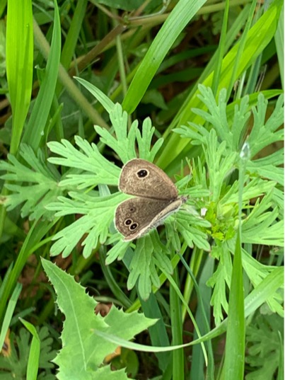 06B4CE95-4851-4146-AFBB-C9A7515EDF47