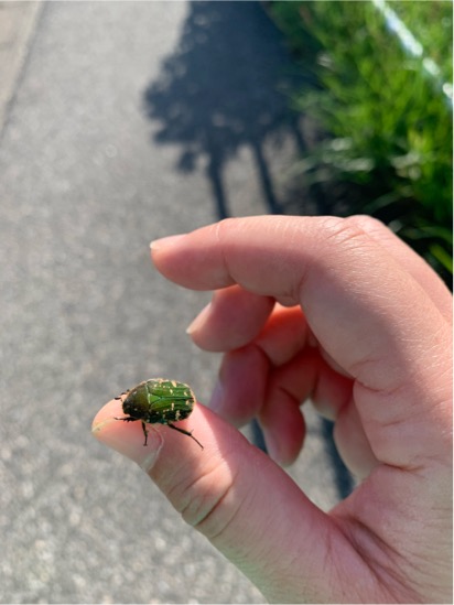 BCACA87B-BB3B-41C3-A8E1-DDD6FABDFEFF