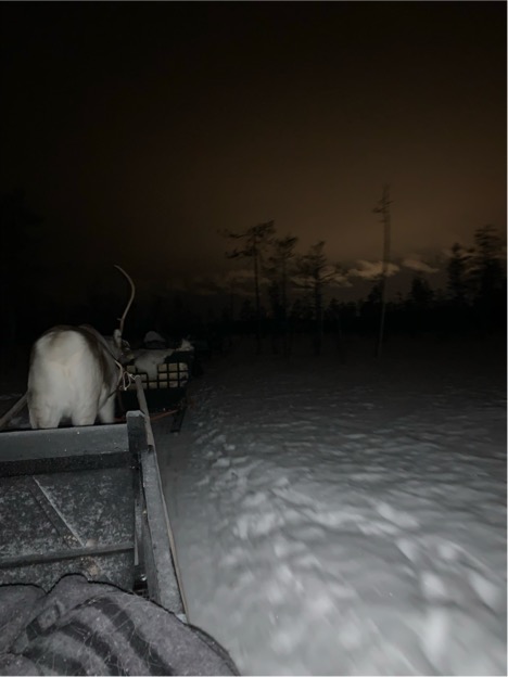 D0532CB3-4D89-4CDA-9927-ED4319FA2692