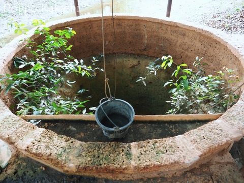 HORY POND-066