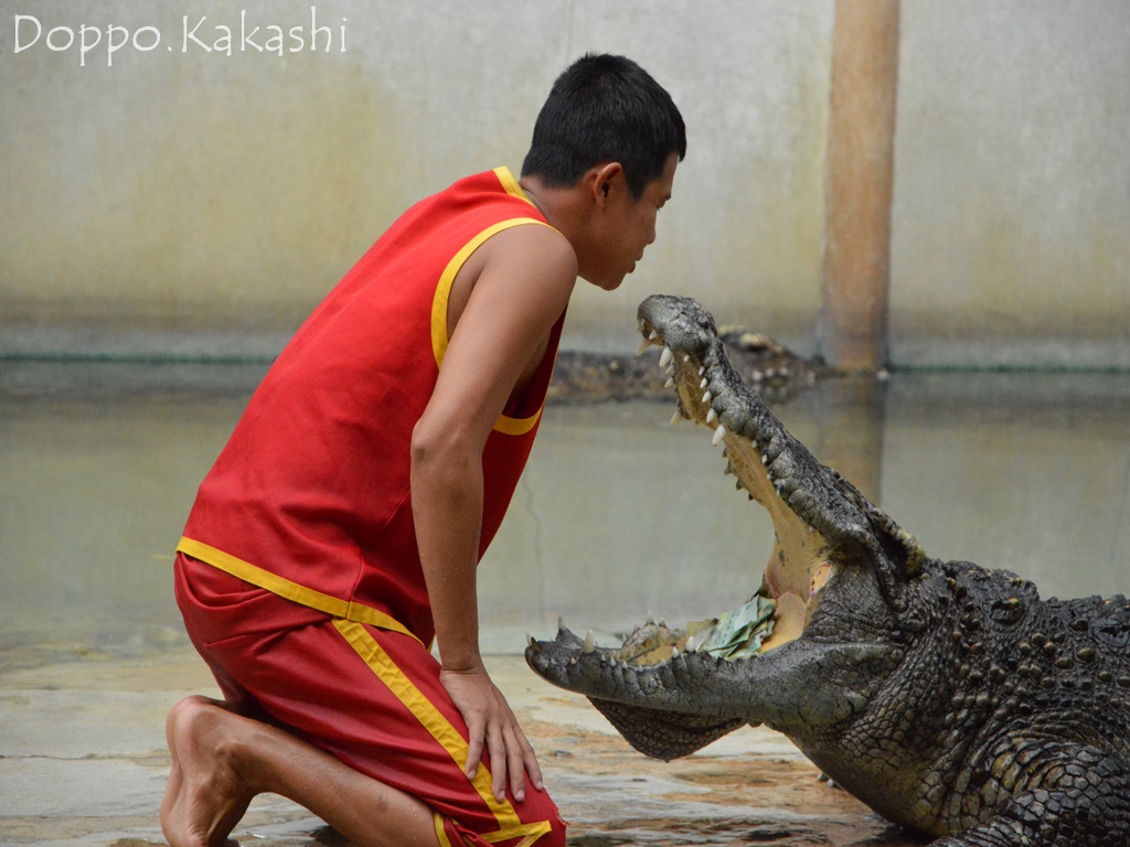 閉業 一度は見たいワニのショー クロコダイルファーム サムロン かかし バンコク独歩 バンコク半径2時間の旅 閉業 一度は見たいワニのショー クロコダイルファーム サムロン かかし バンコク独歩 バンコク半径2時間の旅