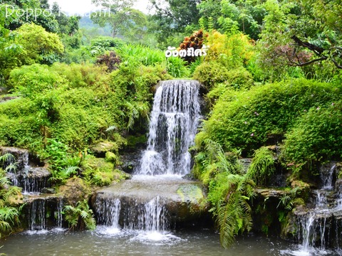 2-3