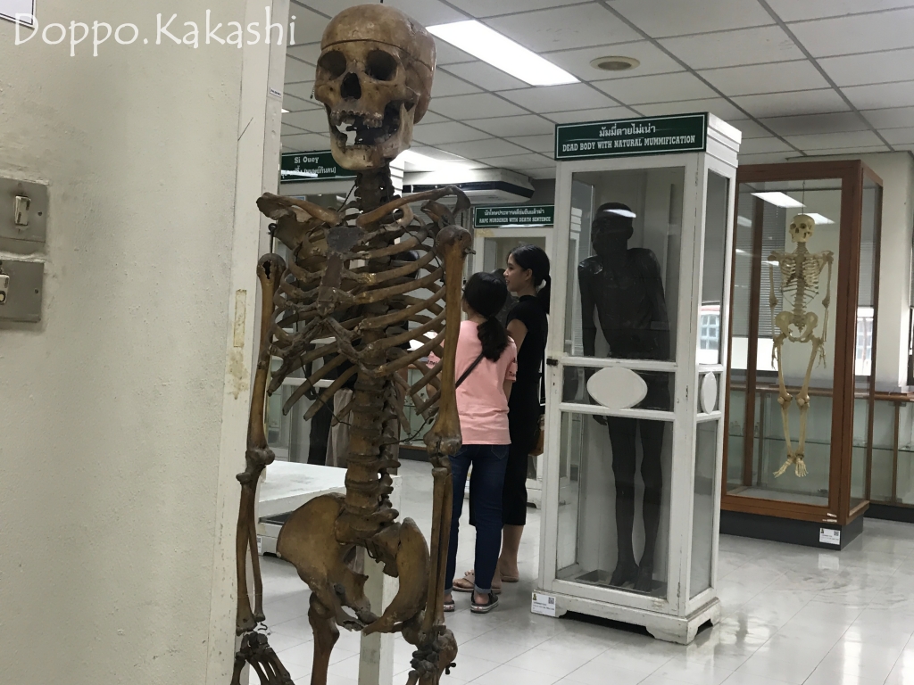 これは強烈 死体博物館 シリラート博物館 シリラート かかし バンコク独歩 バンコク半径2時間の旅 これは強烈 死体博物館 シリラート博物館 シリラート かかし バンコク独歩 バンコク半径2時間の旅