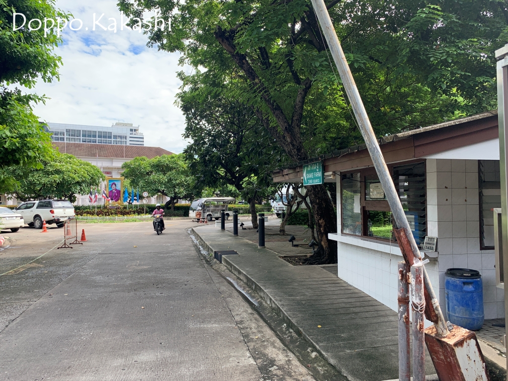 赤十字の活動を広く世間に タイ赤十字博物館 サムヤーン かかし バンコク独歩 バンコク半径2時間の旅
