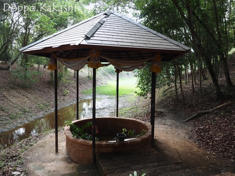 HORY POND-065
