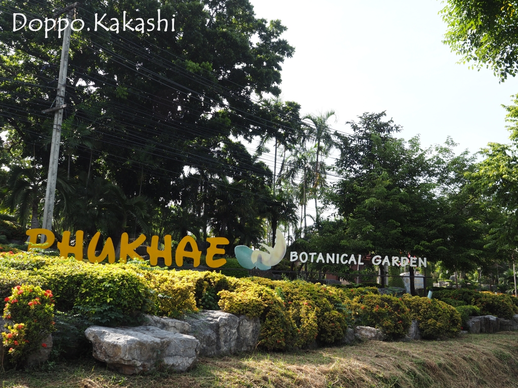 タイ国内一番最初の植物園 サラブリ中央植物園 サラブリ かかし バンコク独歩 バンコク半径2時間の旅