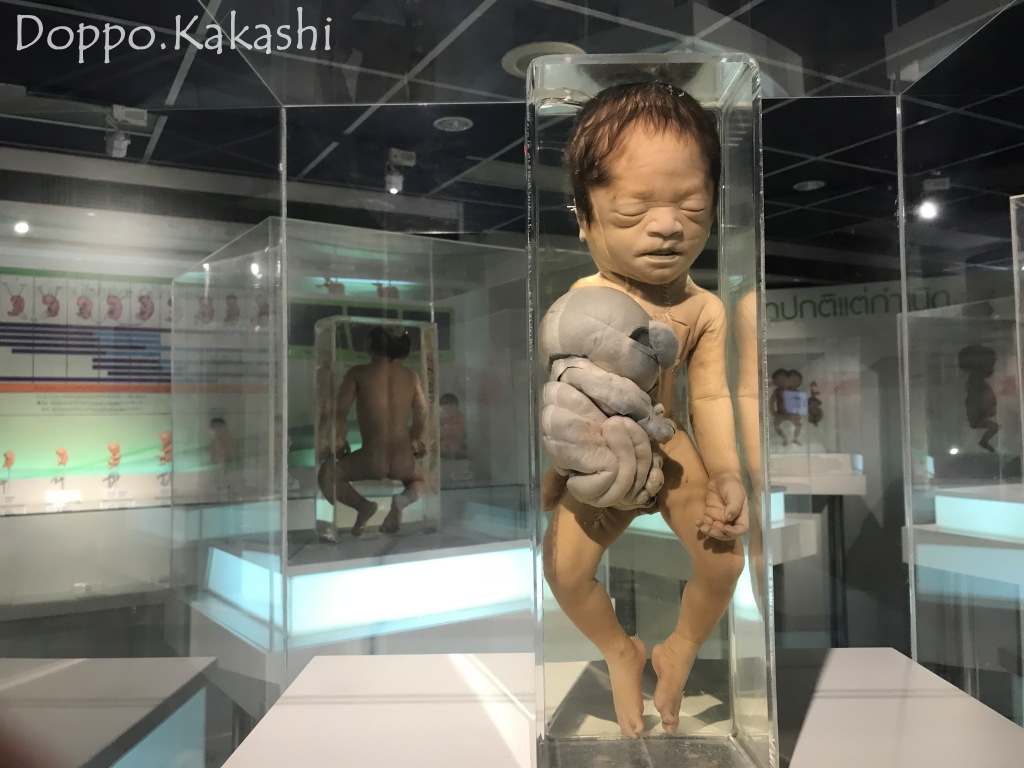 シタイ 博物館 タイ