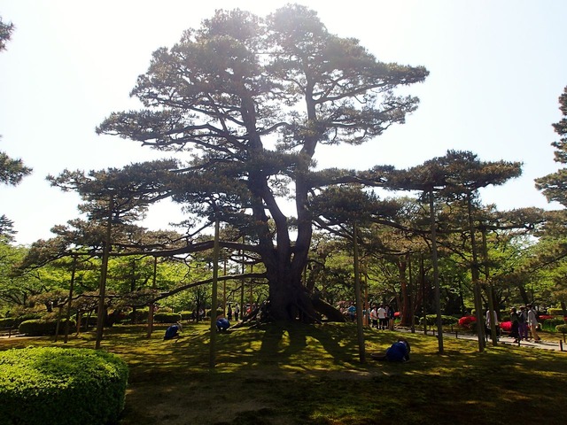 兼六園