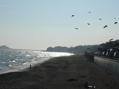 七里ヶ浜_海