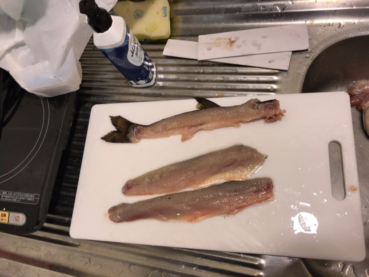 釣ったウグイ刺身にしてみた かけのお魚日記