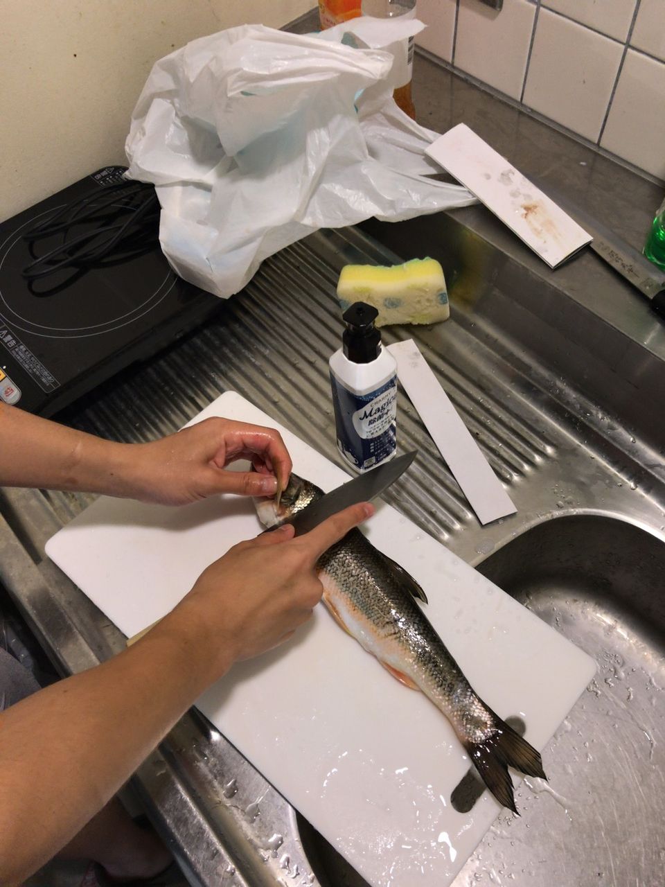 釣ったウグイ刺身にしてみた かけのお魚日記