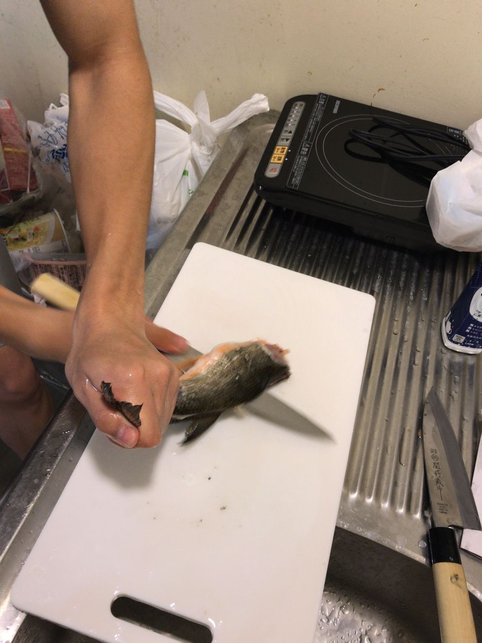 釣ったウグイ刺身にしてみた かけのお魚日記