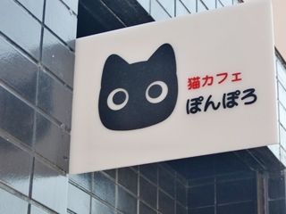 4月15日放送 ねこ ねこ ねこ 一路青森 こちらカ ケ メ ぐる隊 4月15日放送 ねこ ねこ ねこ 一路青森 こちらカ ケ メ ぐる隊