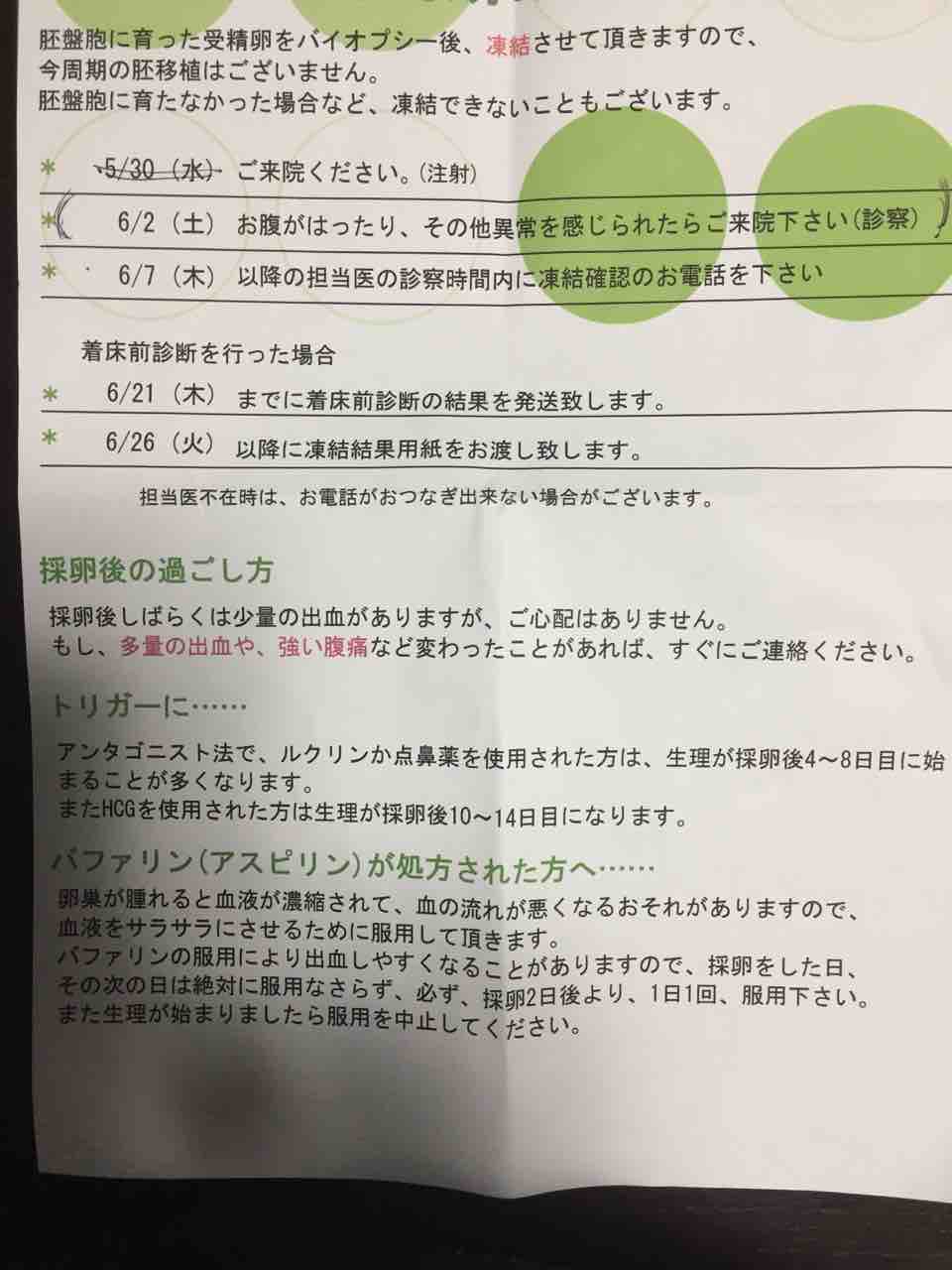方 採卵 後 過ごし