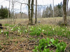 10 IMG_0768