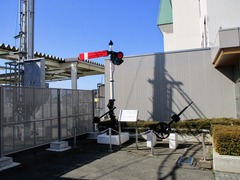 5 IMG_0549