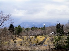 1 IMG_0754