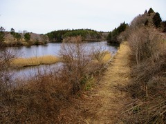 29 328IMG_0655