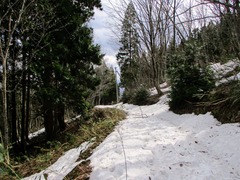 IMG_0665