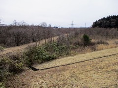 28 328IMG_0657