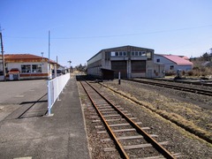 38 IMG_0584