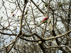 5 IMG_0765
