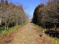 31 IMG_0556