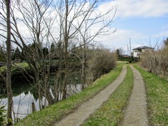 24 IMG_0779