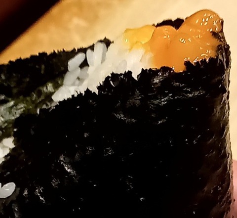 20240420_101558534-1-1-1