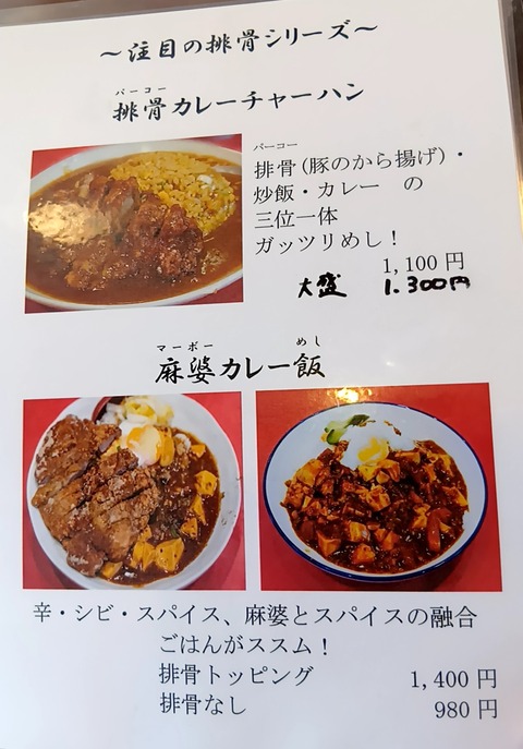 20250515_113553398 (1)