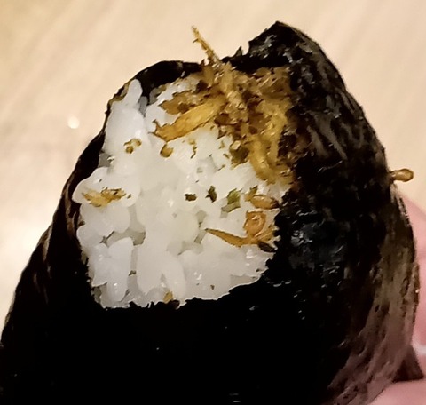 20240420_101852431-1-1