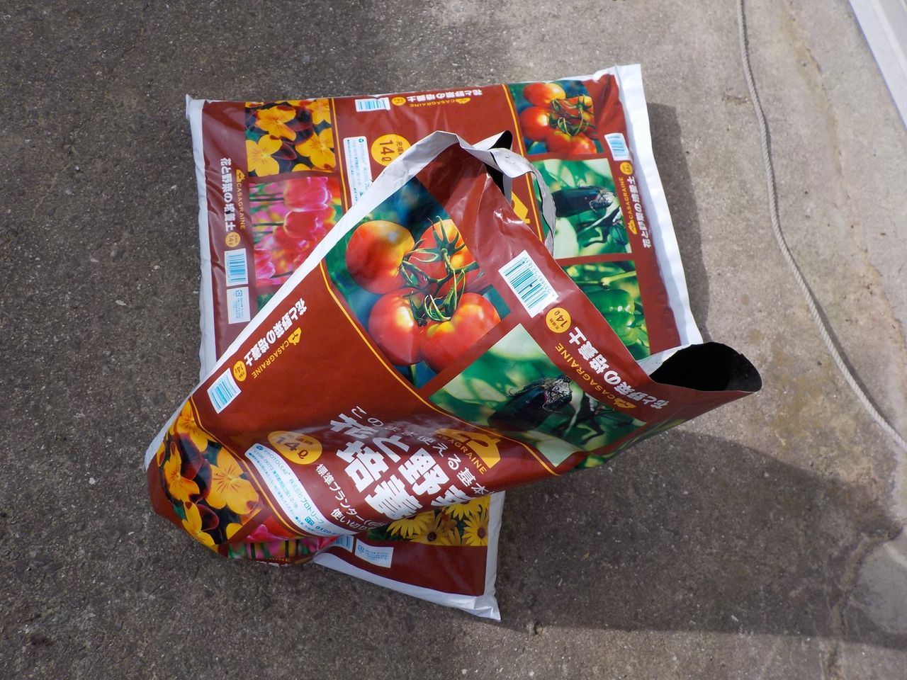 果樹苗の鉢植え 金時草の定植 行き当たりばったりの百姓見習い