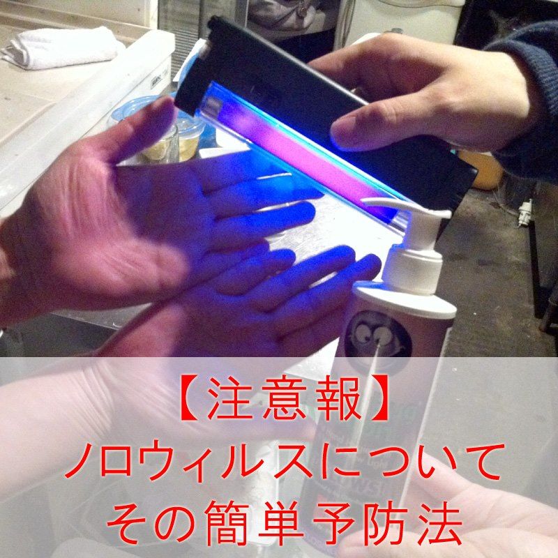 406059_405497486196044_1327983034_n