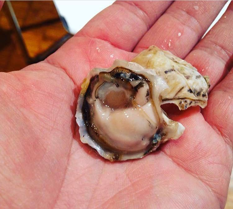 97014538_1214741822194345_1048124354124054528_n