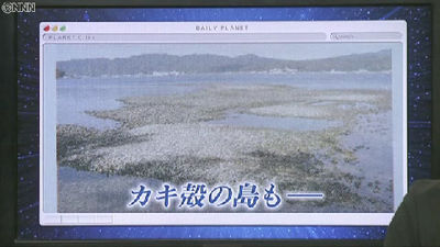 牡蠣百科|カキペディア|Kakipedia|オイスターマイスターになろう!