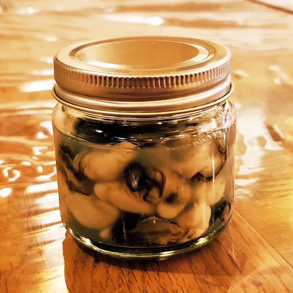 98003398_1214863975515463_7110881093733056512_n