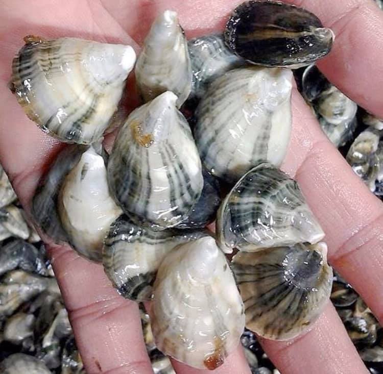 97050913_1214741755527685_4639148485994610688_n