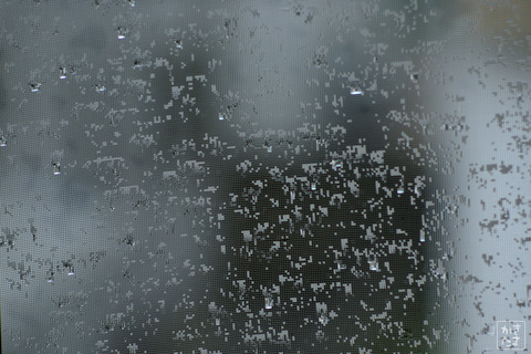 600_4179_20210814_325600_4179雨の日-3