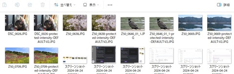 スクリーンショット 2024-04-25 160023