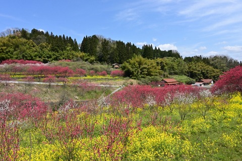 Z50_0709-protected-intensity-DEFAULT-V2