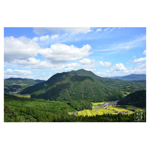 峠から