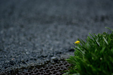 200823_175333夕立1(小)