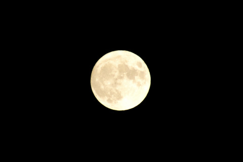 201001_202804十五夜お月さま