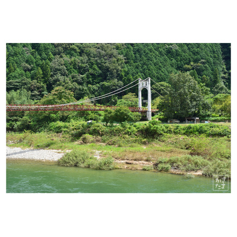 夏の吊橋