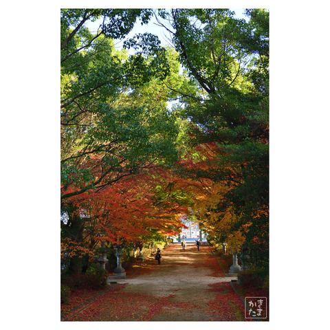 20211127速谷神社-3