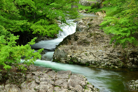 600_3508_20210522_031大暮川-1