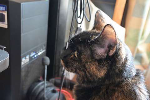 DSC_0026-protected-intensity-DEFAULT-V2