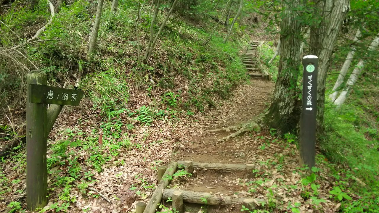 唐の御所 栃木の山歩き たった一人の頂上決戦
