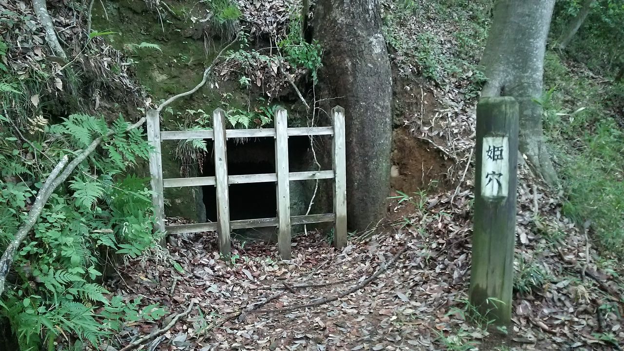 唐の御所 栃木の山歩き たった一人の頂上決戦