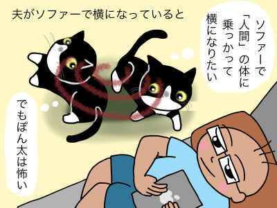 夫がソファーで横になっていると「ソファーで「人間」の体に乗っかって横になりたい」「でも夫は怖い」の中で揺れ動くのです